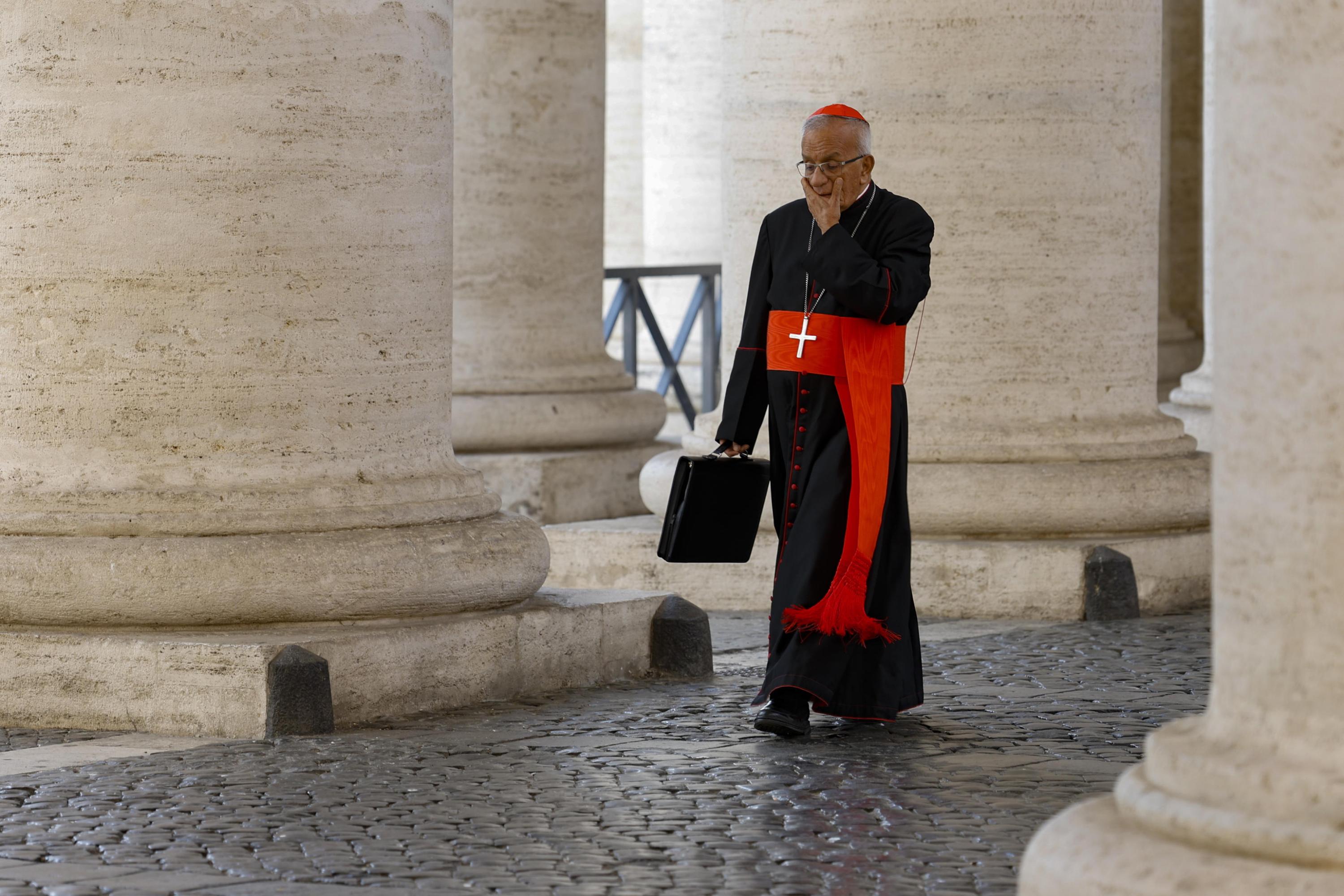 El cardenal Jorge Enrique Jiménez Carvajal al Vaticà / EFE / EPA / Fabio Frustaci